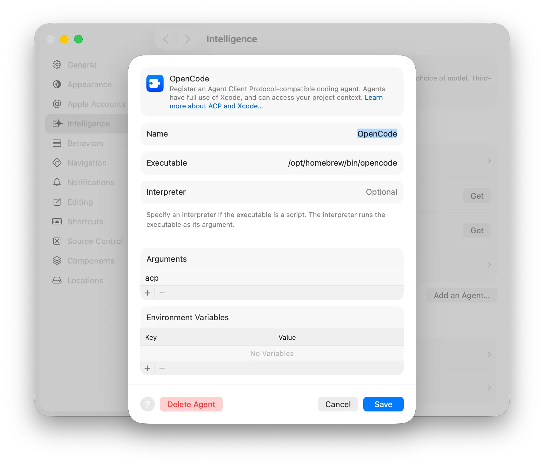 Add an ACP Agent sheet filled in for OpenCode